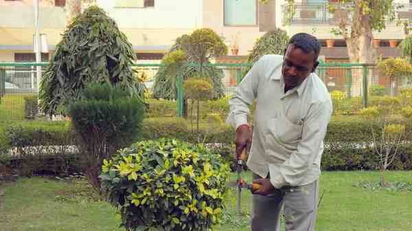 House Maid Services in Dehradun - Labourwala